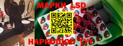 стафф Обь