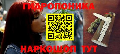 стафф Обь