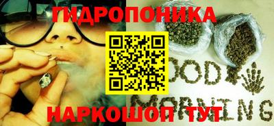 стафф Обь