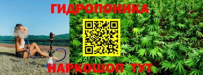 стафф Обь