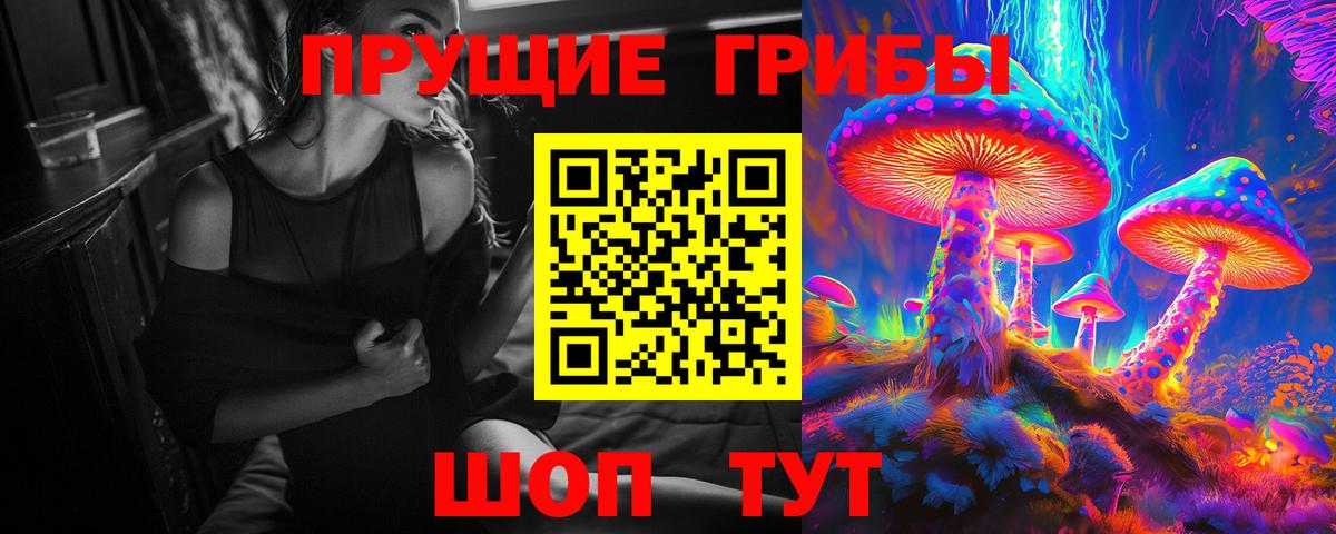 цены   Псилоцибиновые грибы Psilocybe  Троицк  Вход с VPN  Псилоцибиновые грибы Psilocybine cubensis 