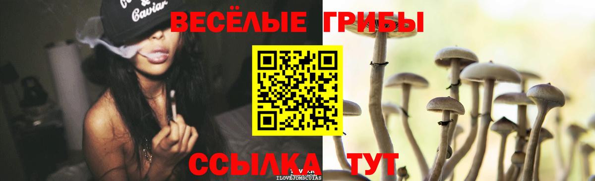 Псилоцибиновые грибы Cubensis Троицк